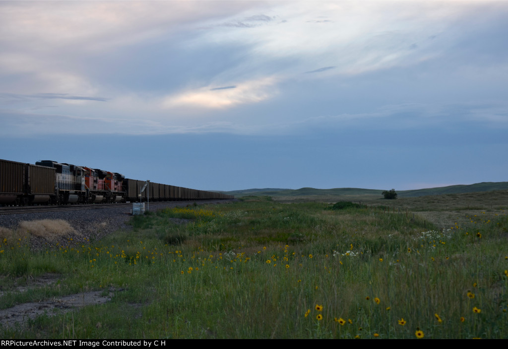 BNSF 9669/9155/9345